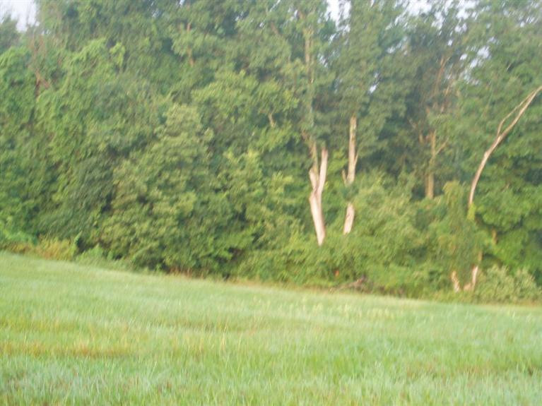 0 Neave Ridge Road Brooksville, KY 41004 - Photo 6 of 7 Gallery Image 6