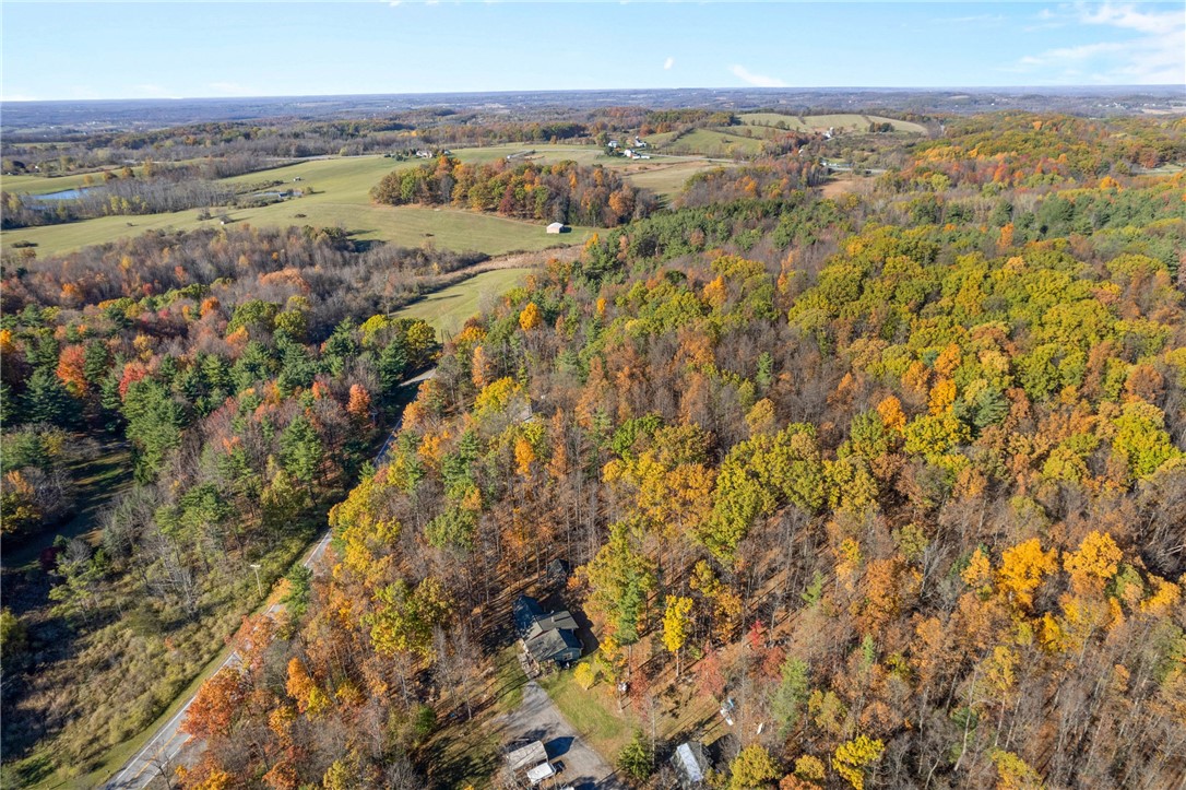 7654 West Hall Road Bristol, NY 14424 - Photo 39 of 39 LAND