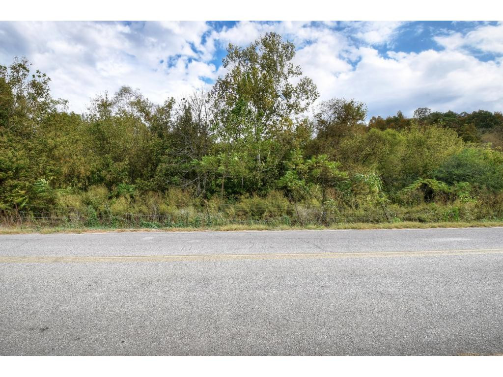 Tbd Roaring Fork Road, Unit 3A Greeneville, TN 37745 - Photo 12 of 15 Photo 12