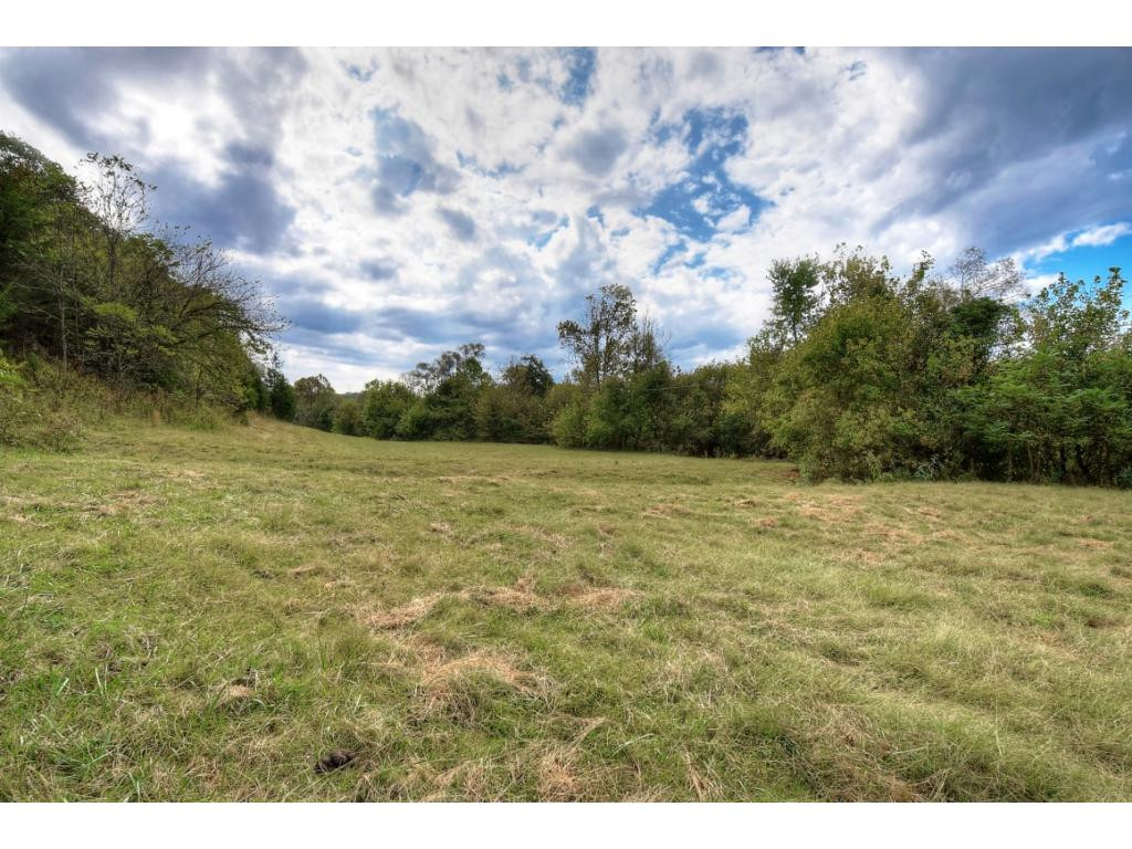 Tbd Roaring Fork Road, Unit 3A Greeneville, TN 37745 - Photo 4 of 15 Photo 3