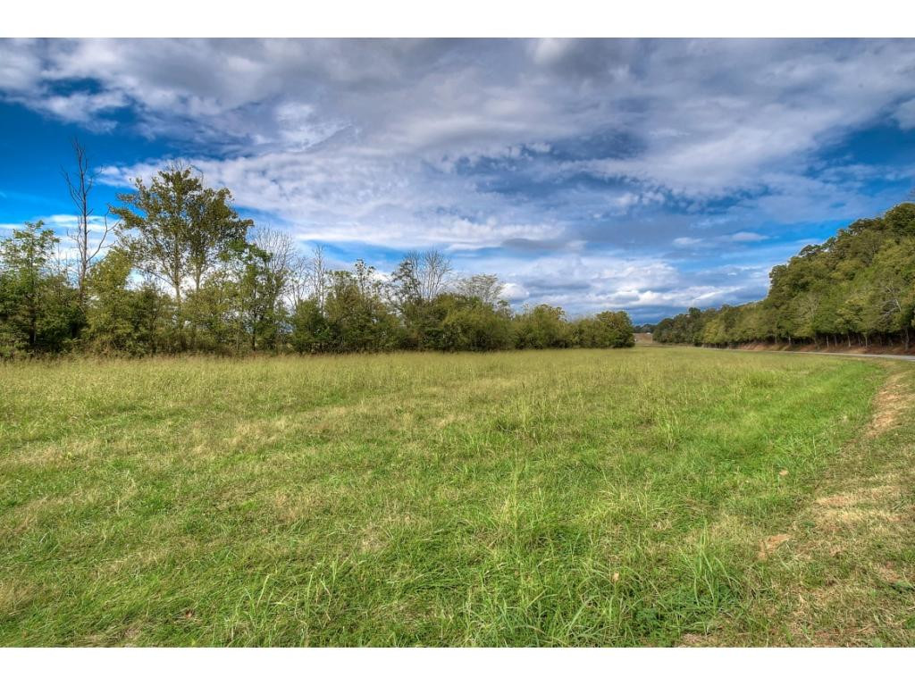 Tbd Roaring Fork Road, Unit 3A Greeneville, TN 37745 - Photo 6 of 15 Photo 6