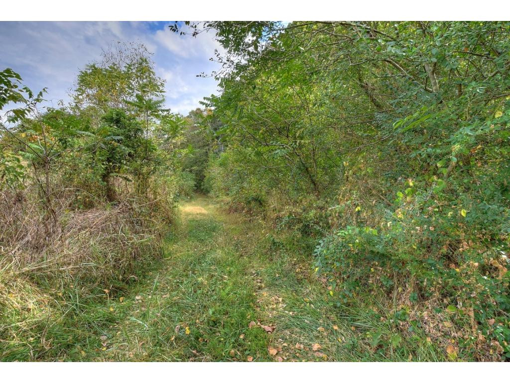 Tbd Roaring Fork Road, Unit 3A Greeneville, TN 37745 - Photo 7 of 15 Photo 7