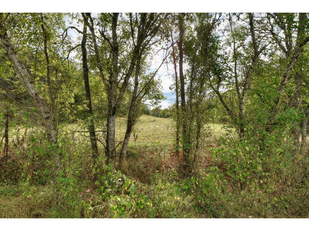 Tbd Roaring Fork Road, Unit 3A Greeneville, TN 37745 - Photo 8 of 15 Photo 8