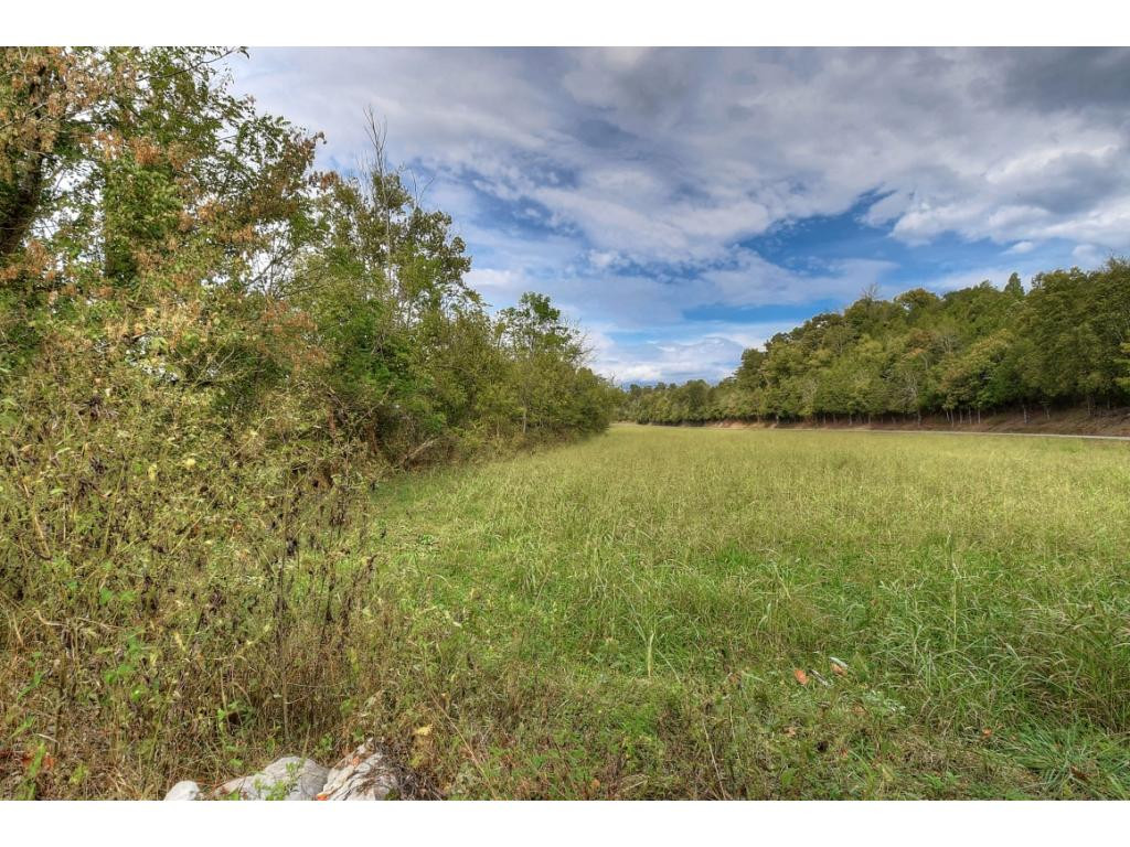 Tbd Roaring Fork Road, Unit 3A Greeneville, TN 37745 - Photo 9 of 15 Photo 9