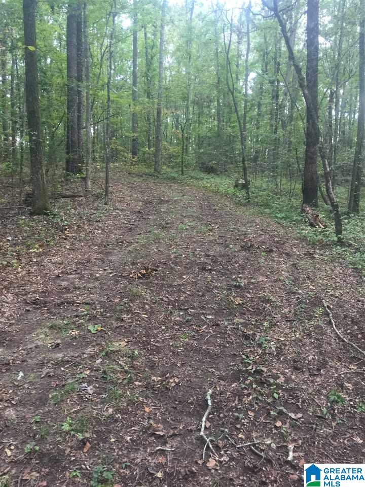 241 Sulphur Springs Road, Unit 9 89 ACRES Lincoln, AL 35096 - Photo 28 of 44