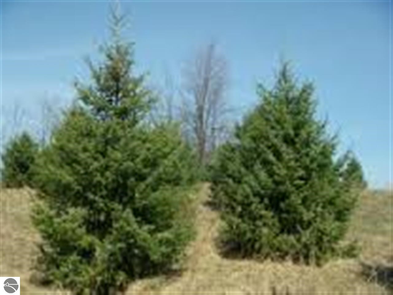 0 Bassil Road, Unit LOT 32 Bellaire, MI 49615 - Photo 5 of 5