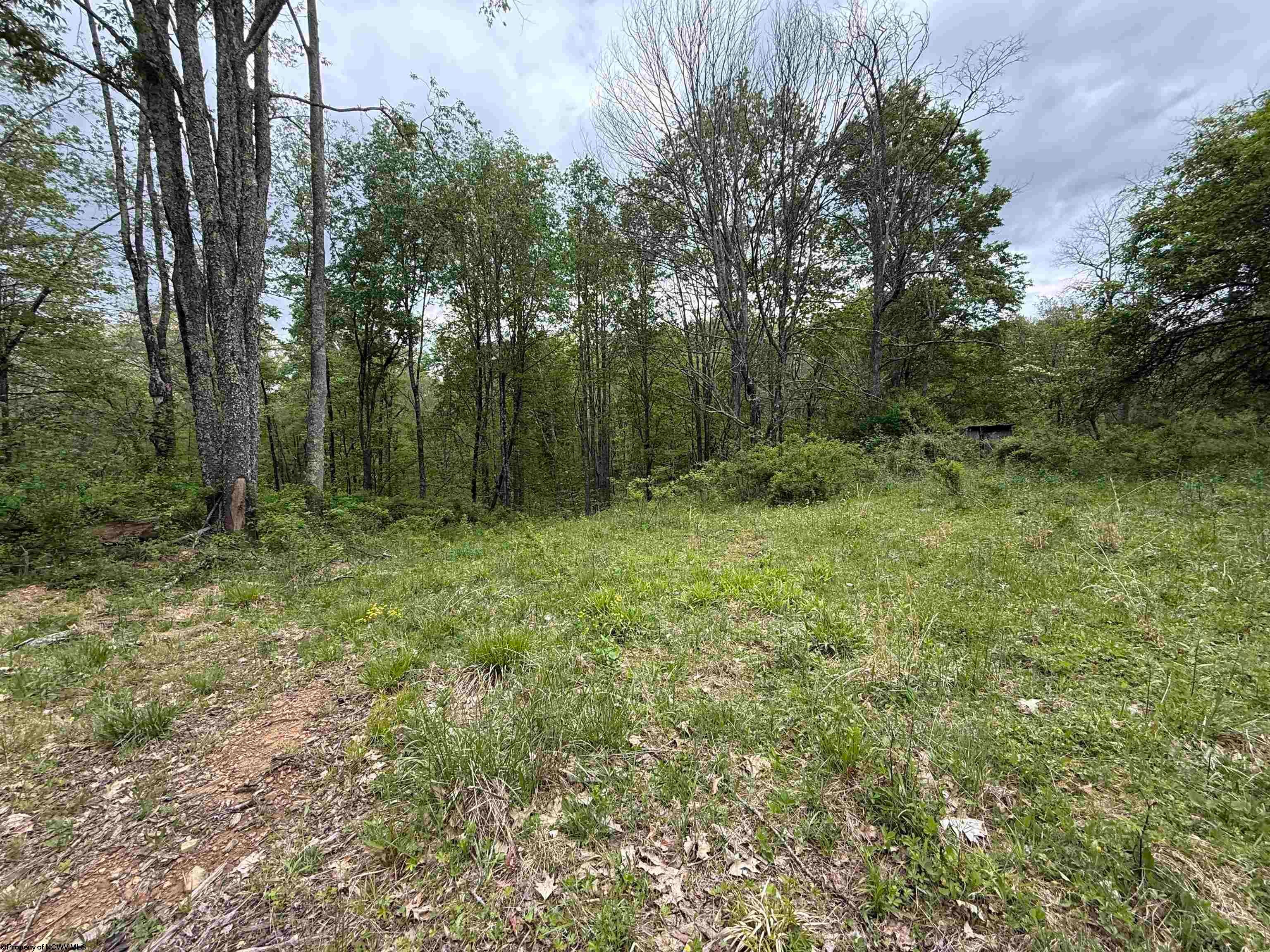1154 Brady Gate Road Valley Head, WV 26294 - Photo 3 of 8 Gallery Image 3
