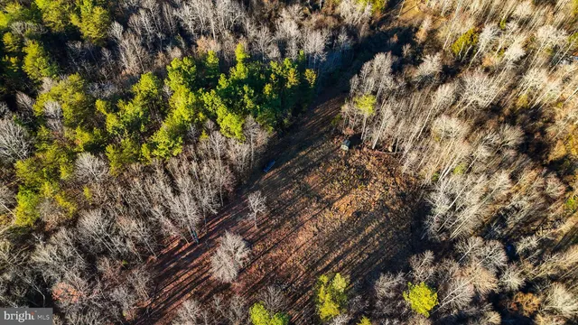 $85,000 | 0 Curley Lane, Bumpass, VA 23024