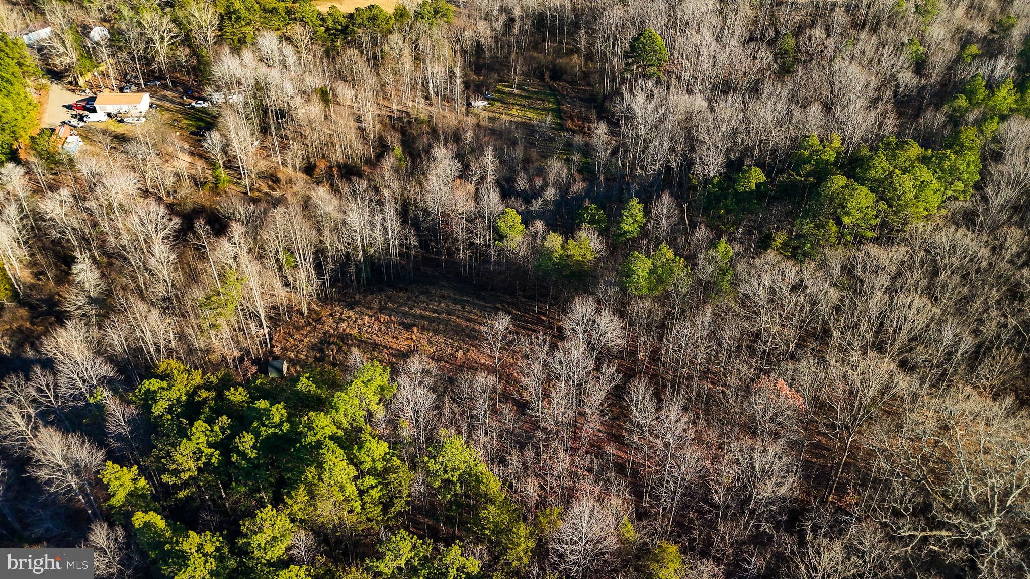 0 Curley Lane Bumpass, VA 23024 - Photo 15 of 15 a backyard of a house