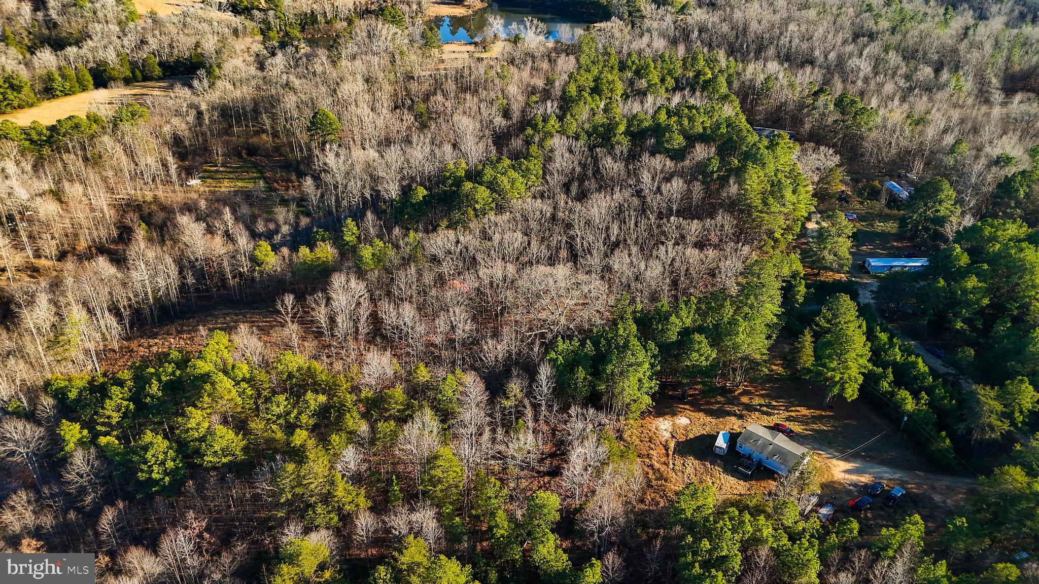 0 Curley Lane Bumpass, VA 23024 - Photo 4 of 15 a view of a forest with a tree