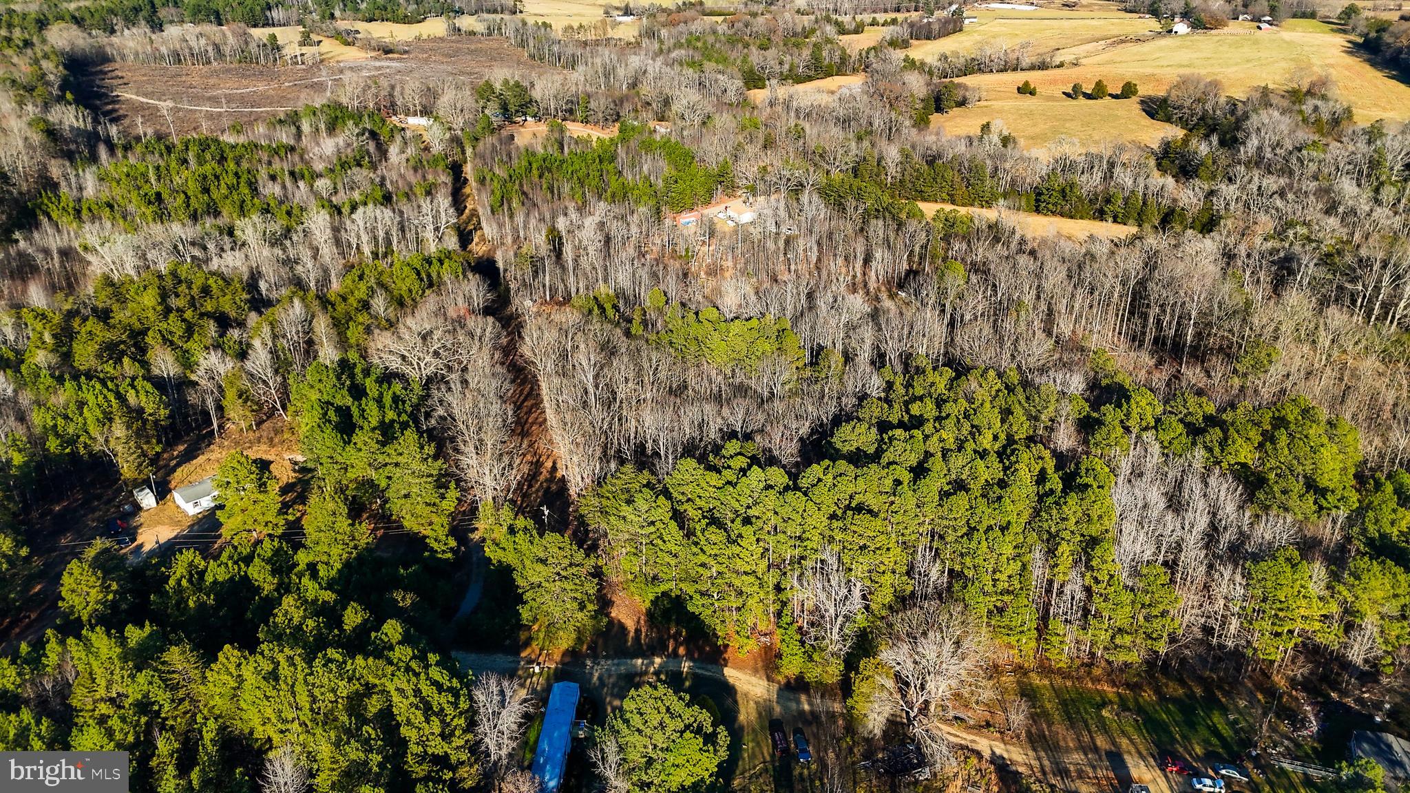 0 Curley Lane Bumpass, VA 23024 - Photo 7 of 15 a view of a bunch of flowers