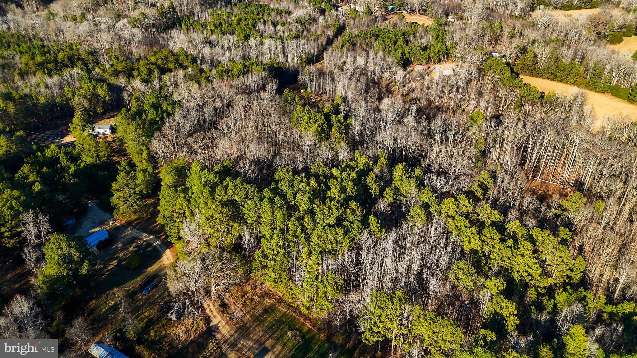 0 Curley Lane Bumpass, VA 23024 - Photo 9 of 15