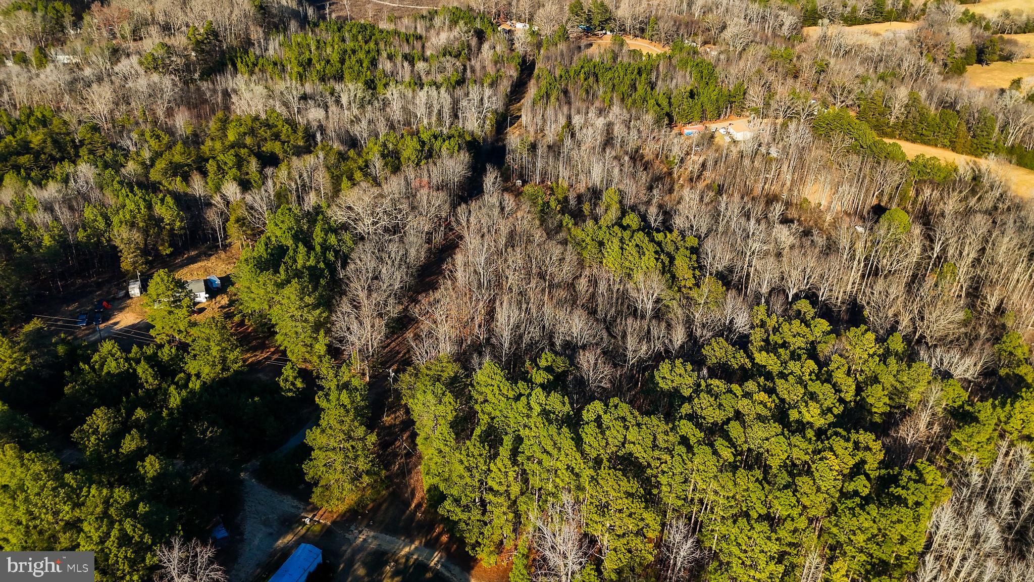 0 Curley Lane Bumpass, VA 23024 - Photo 10 of 15 a view of a tree