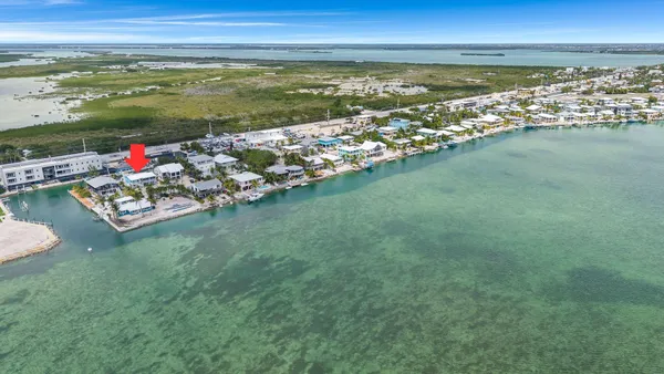a view of a palm tree next to a building