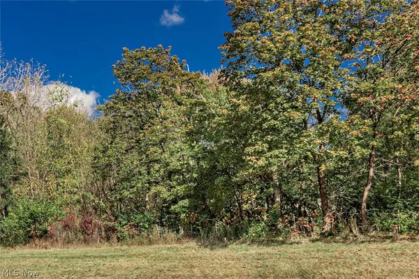 $7,000 | Schady Road, Olmsted Falls, OH 44138