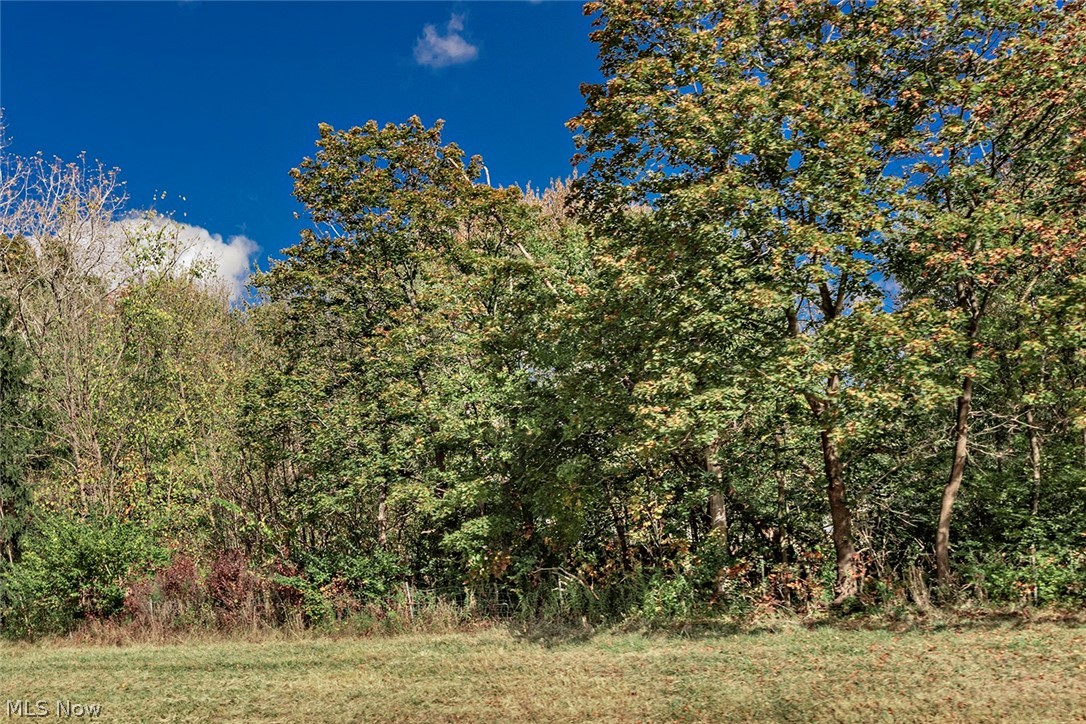 Schady Road Olmsted Falls, OH 44138 - Photo 1 of 2