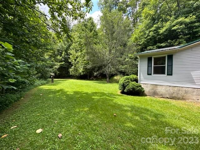 143 Hubert McCall Drive Balsam Grove, NC 28708 - Photo 18 of 19 a view of a backyard with large trees