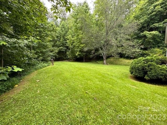 143 Hubert McCall Drive Balsam Grove, NC 28708 - Photo 3 of 19 a view of field with trees in the background