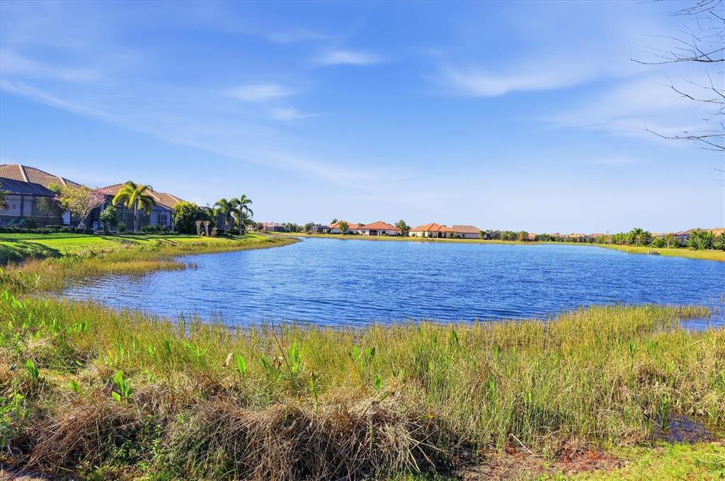 15909 Castle Park Terrace Lakewood Ranch, FL 34202 - Photo 44 of 66 a view of a swimming pool with an ocean and trees in the background