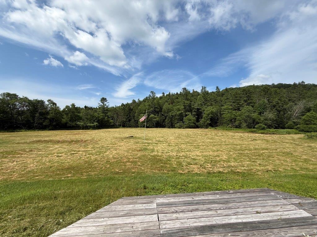 446 Walker Brook Road Danbury, NH 03230 - Photo 30 of 54