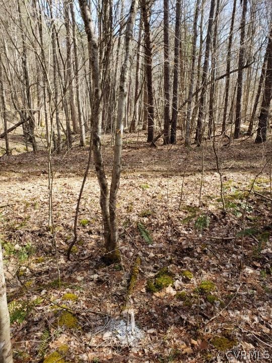 Lot #2 Miller Camp Road Buckingham, VA 23921 - Photo 7 of 9 a view of yard