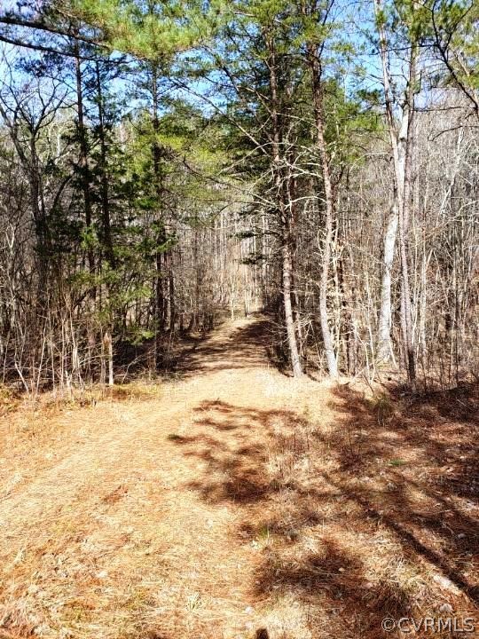 Lot #2 Miller Camp Road Buckingham, VA 23921 - Photo 8 of 9 a view of wooden fence and trees