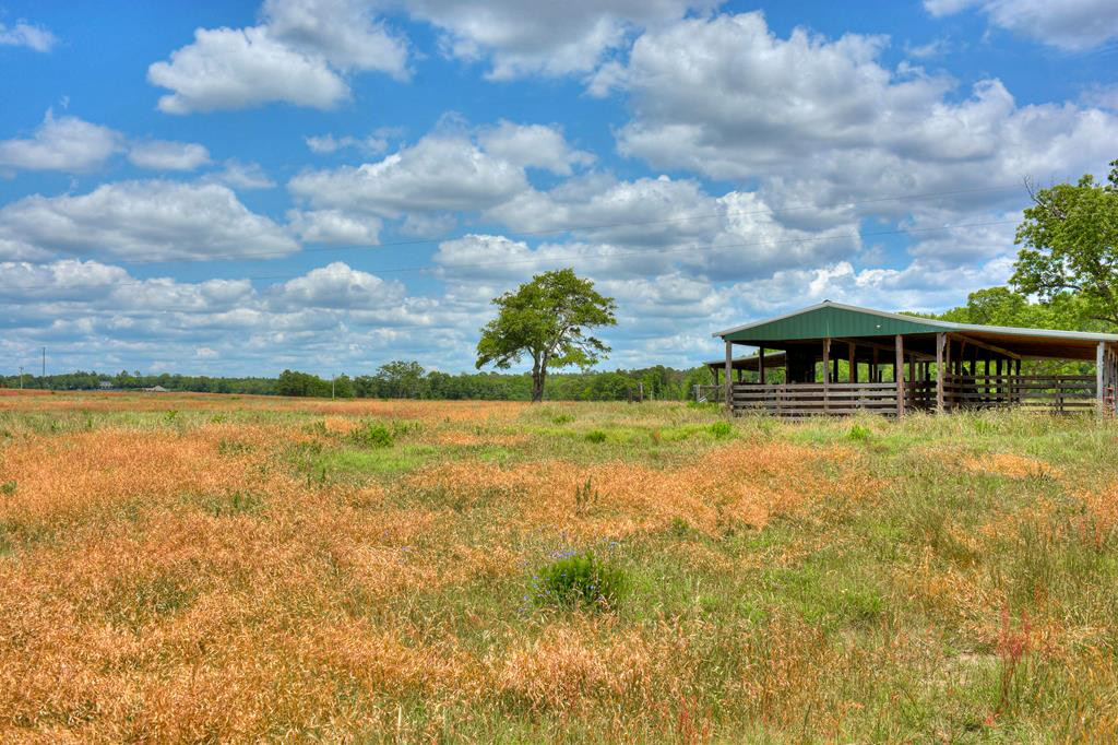 Lot 6 Wire Road Aiken, SC 29801 - Photo 28 of 28