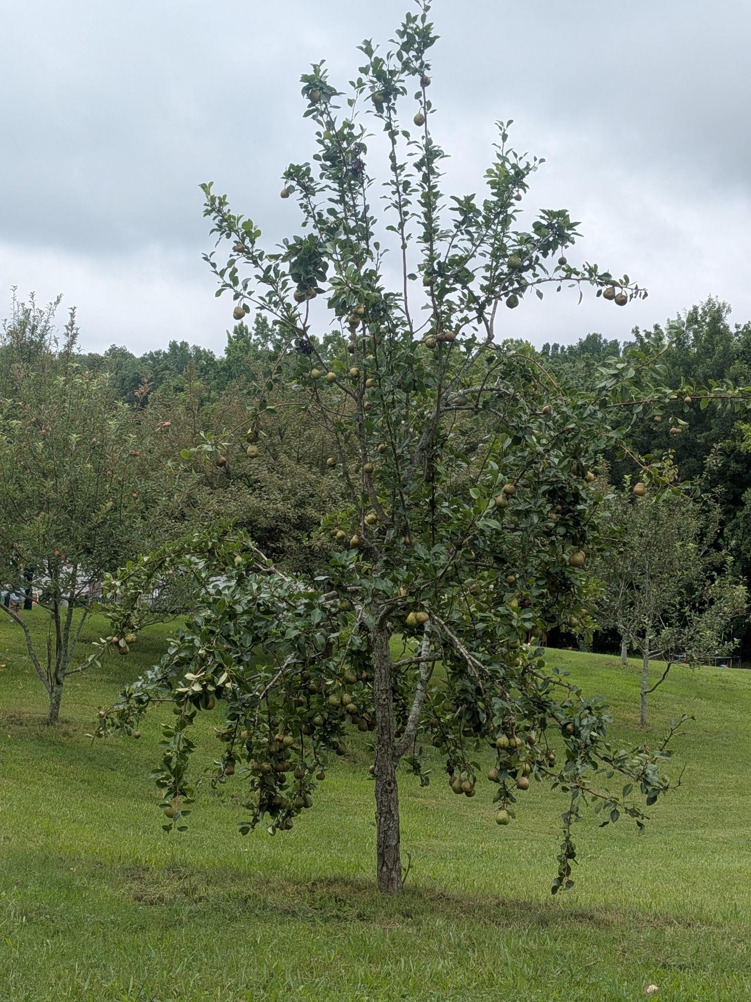 119 Fred Road Bon Aqua, TN 37025 - Photo 56 of 57