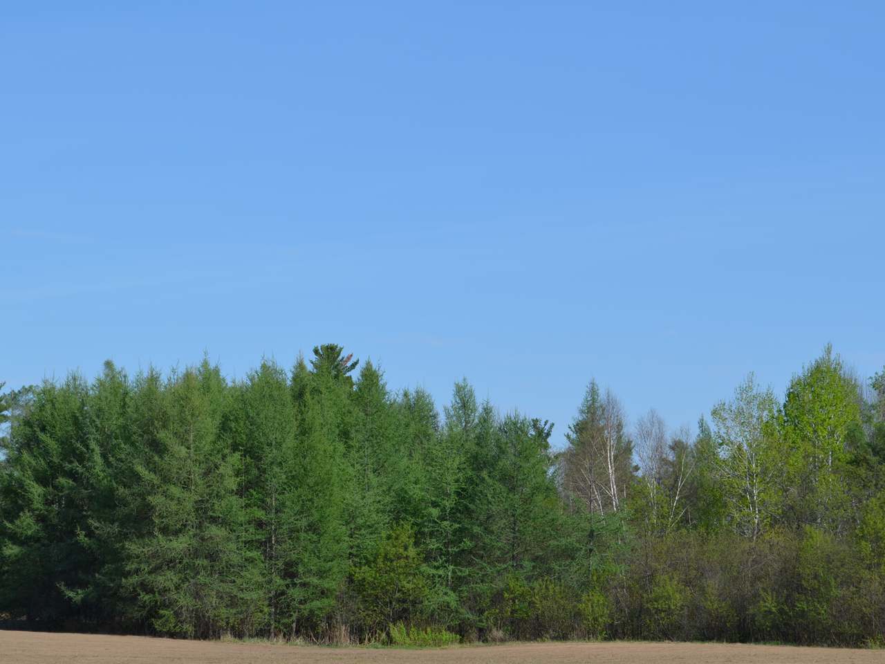 On Kaphaem Road Tomahawk, WI 54487 - Photo 10 of 20 Gallery Image 10