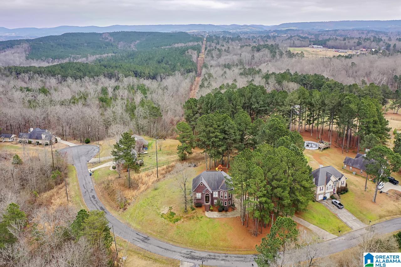 92 Hidden Oaks Lane Cleveland, AL 35049 - Photo 44 of 44