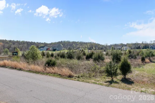 a view of a dry yard with green space
