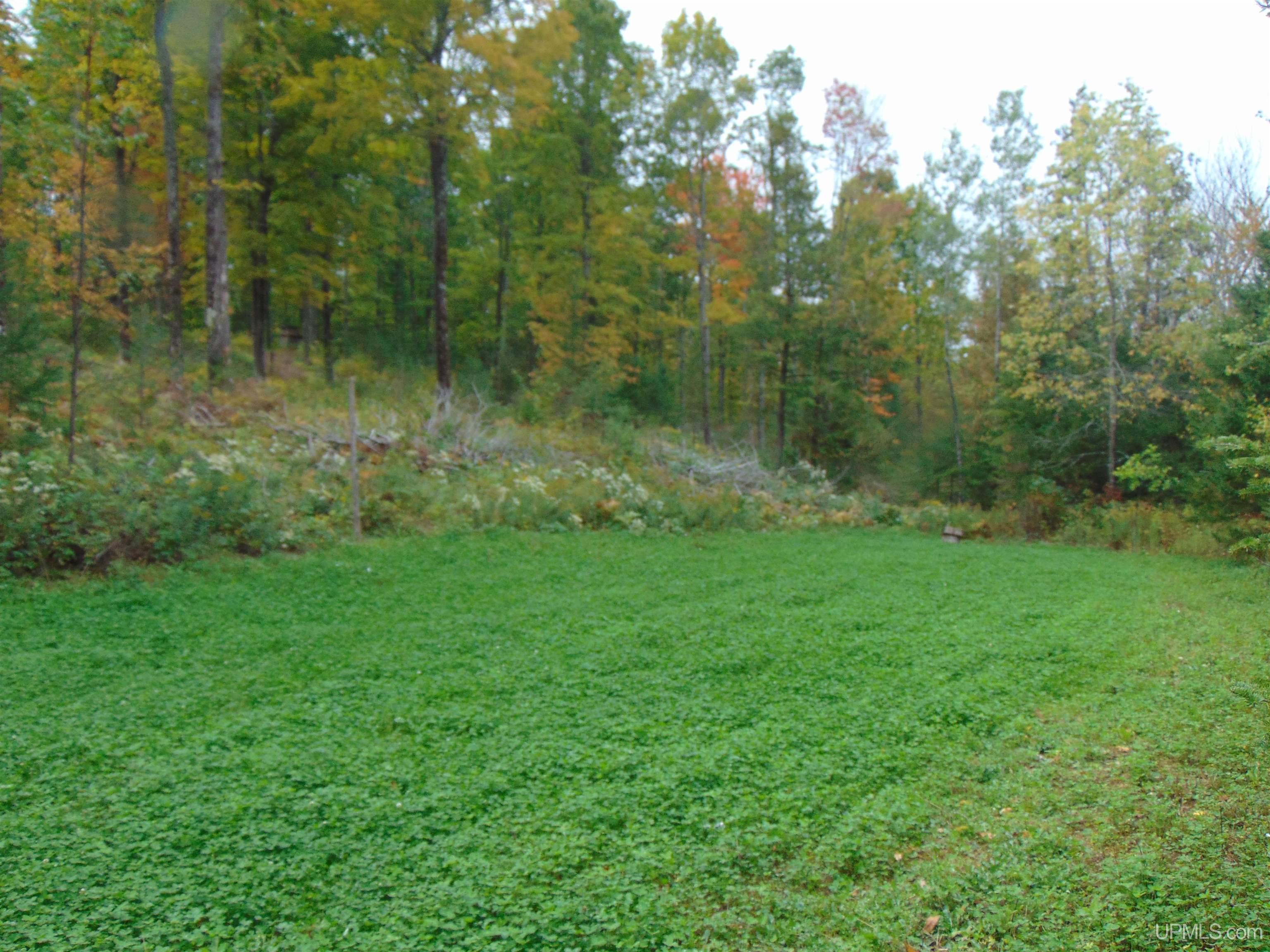 2792 County Line Road Vulcan, MI 49892 - Photo 79 of 99