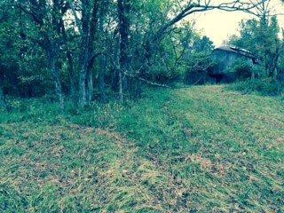 14315 Stamping Ground Road Stamping Ground, KY 40379 - Photo 5 of 15 Photo 5