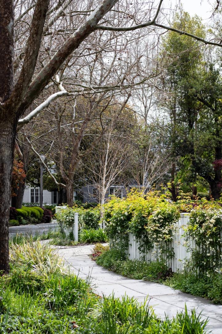 166 Seminary Drive Menlo Park, CA 94025 - Photo 38 of 41 a view of a garden with large trees
