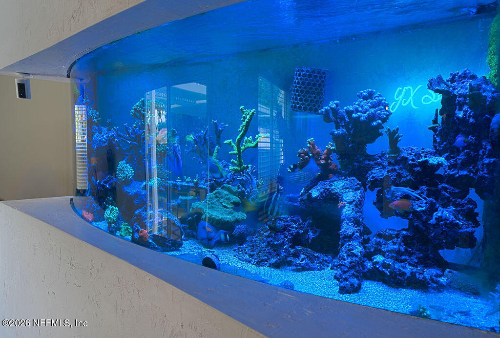 3441 Bristol Bridge Road Orange Park, FL 32073 - Photo 10 of 28 Aquarium