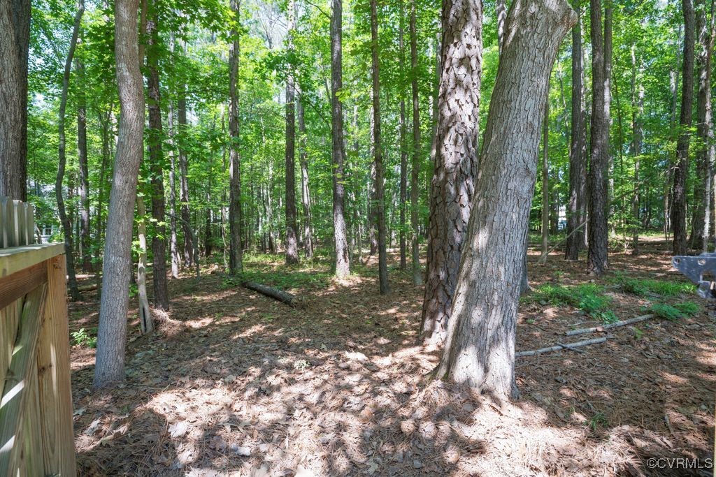 15300 Houndmaster Circle Midlothian, VA 23112 - Photo 39 of 48 a view of a forest with trees in the background