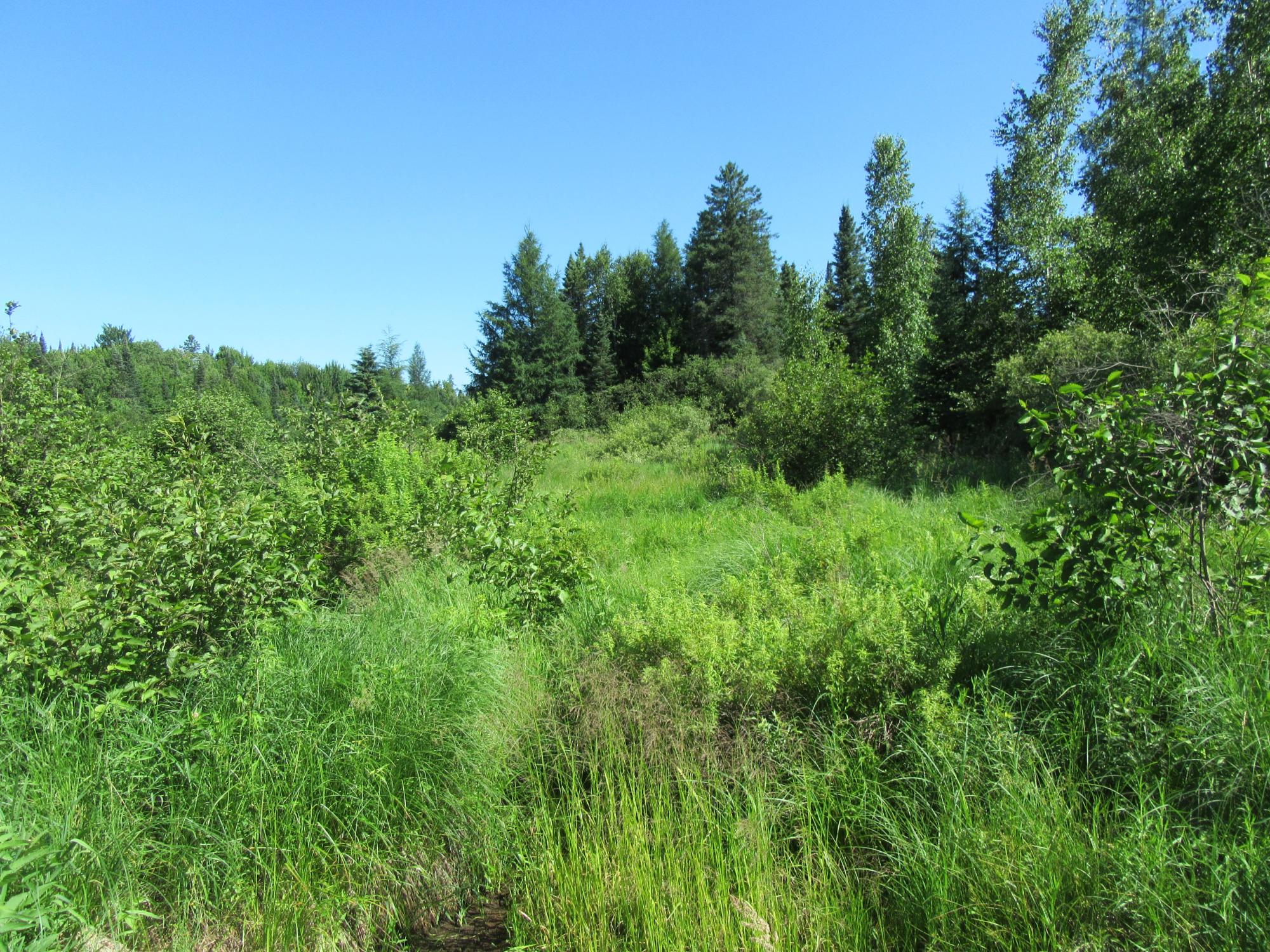 12030 Price Lakes Road Park Falls, WI 54552 - Photo 23 of 56 Gallery Image 23