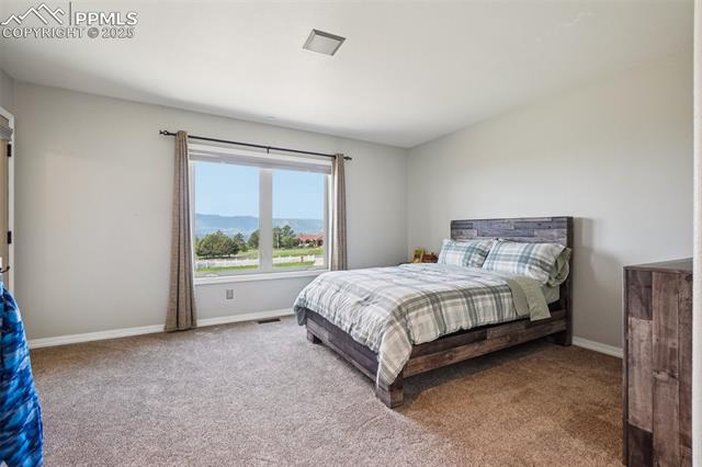 14425 Granby Road Colorado Springs, CO 80921 - Photo 20 of 45 Carpeted bedroom with baseboards