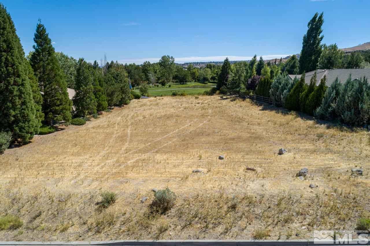 4535 Mountaingate Drive Reno, NV 89519 - Photo 2 of 5 a view of a dry yard with trees in the background