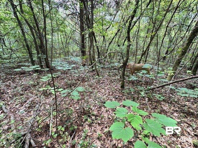 0 Wilmer Road Wilmer, AL 36587 - Photo 15 of 28