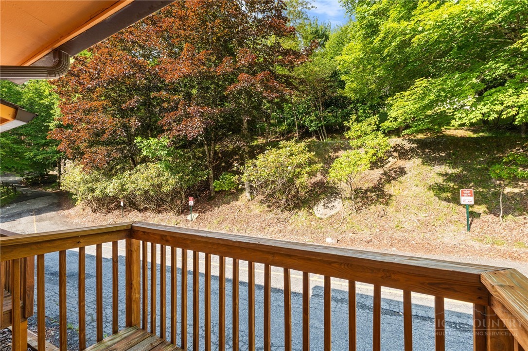 220 Charter Hills Road, Unit B3 Beech Mountain, NC 28604 - Photo 25 of 26