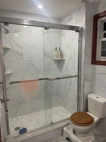 a bathroom with a shower and a toilet