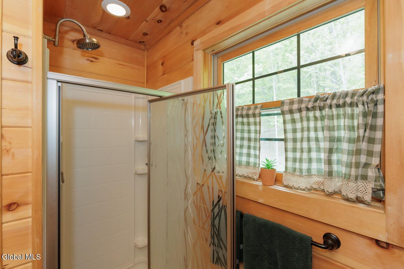 47 Roney Road Rensselaerville, NY 12469 - Photo 52 of 80 47 Roney Rd_66