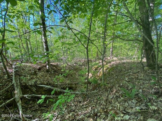 0 Martin Pierce Road Cub Run, KY 42729 - Photo 5 of 19 4