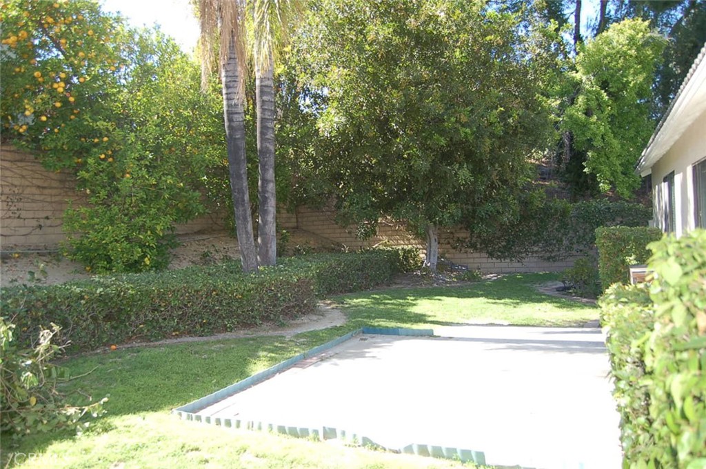 47 Deer Creek Road Phillips Ranch, CA 91766 - Photo 21 of 24 a view of a tree in a yard with potted plants
