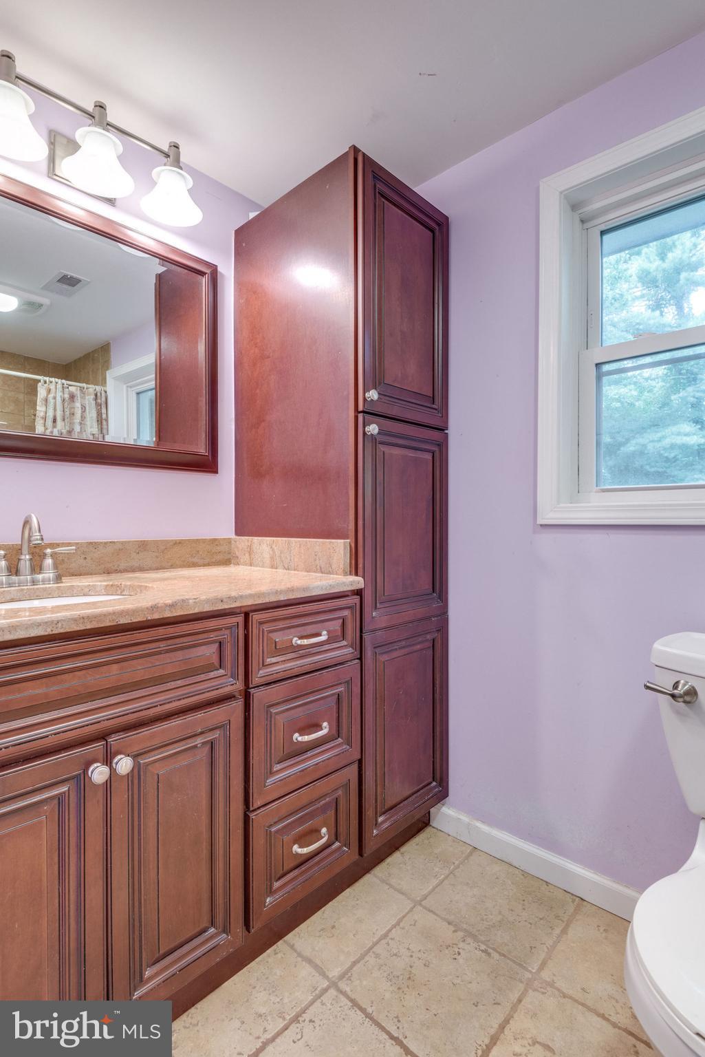 701 West Poplar Road Sterling, VA 20164 - Photo 23 of 28 Lower Level Full Bathroom