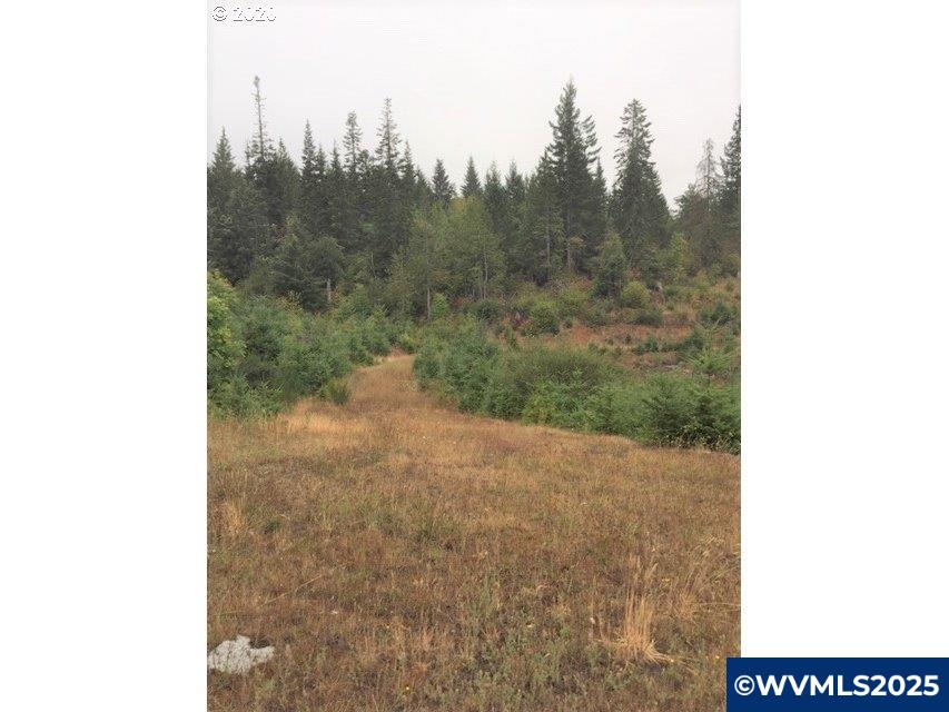 Northwest Ridge Road Forest Grove, OR 97116 - Photo 2 of 8