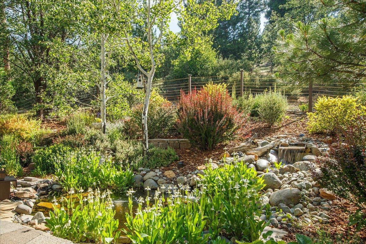 566 Main Ranch Road Quincy, CA 95971 - Photo 13 of 47