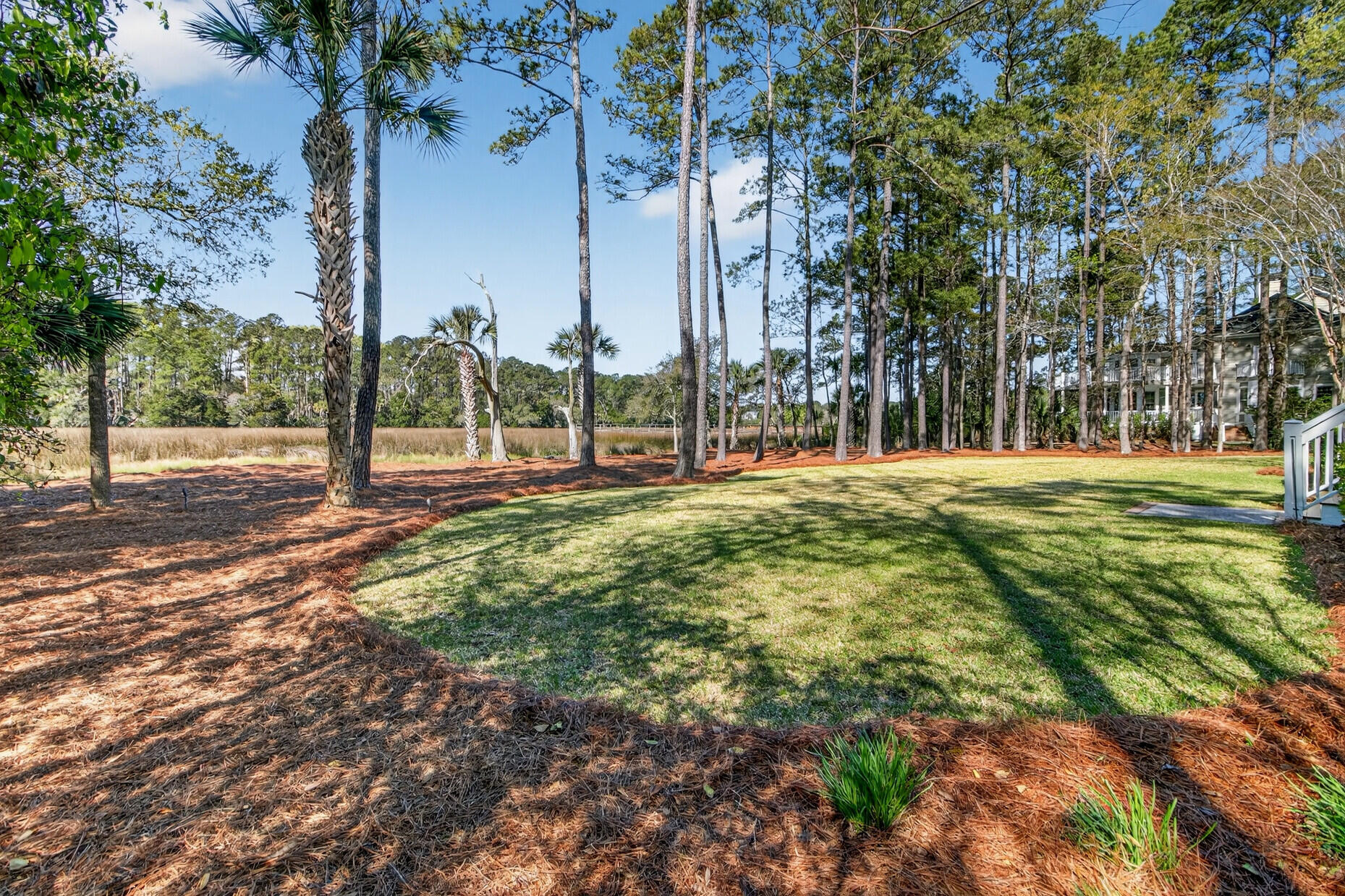 2992 Pignatelli Crescent Mount Pleasant, SC 29466 - Photo 72 of 86 Extensive back lawn
