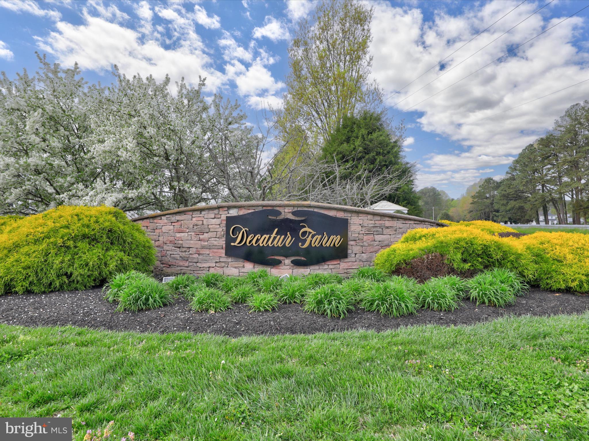165 Intrepid Lane Berlin, MD 21811 - Photo 33 of 46 a view of a back yard